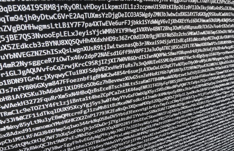 Imagen: Mclek / SHutterstock